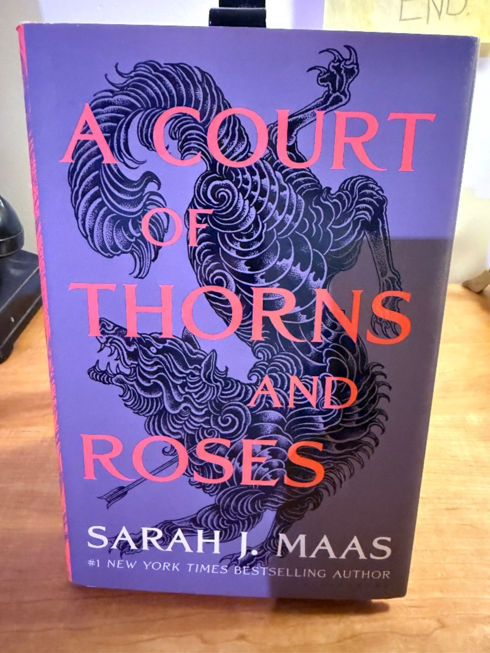 A Court of Thorns and Roses NEW